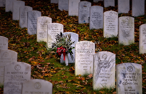 A fall scene from Arlington National Cemetery.