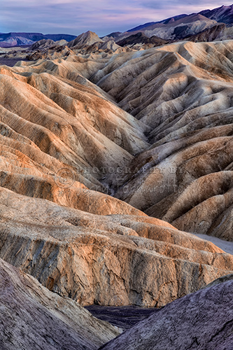 In Death Valley you see bone-dry, finely-sculpted, golden brown rock called mudstone. Only the sparsest vegetation can survive in this intricately carved terrain.