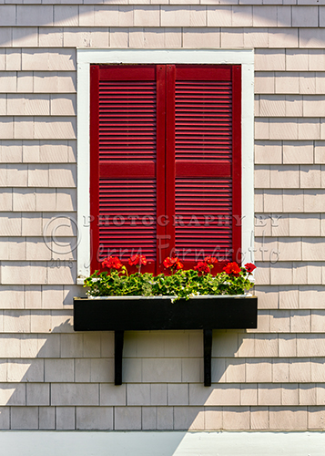 "Shutter and Flowers" from Boothbay Harbor, Maine.