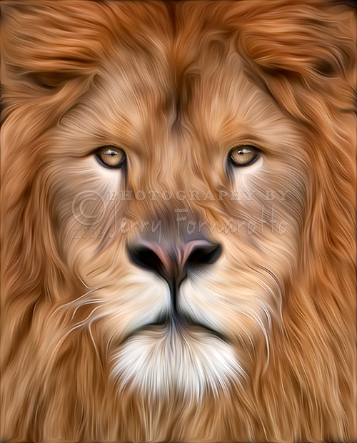 A creatively processed image of a lions face.