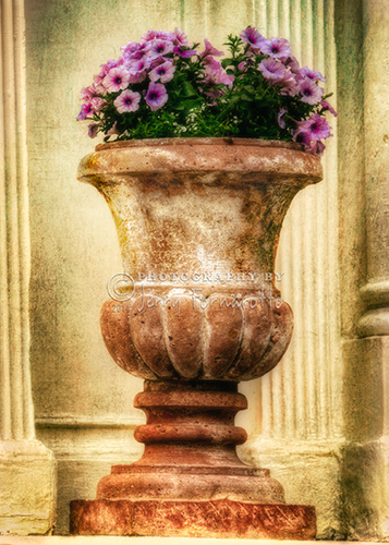A photo of an urn filled with beatiful purple flowers overlayed with a creative texture.