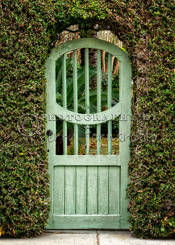 Doorway to a backyard garden in Charleston, South Carolina.