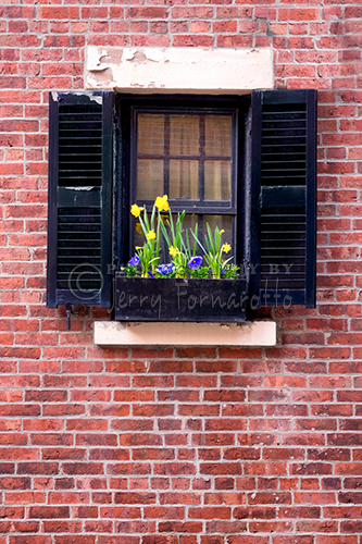 "Window and Brick" Acorn Street