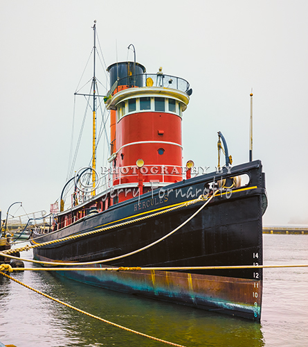 The tugboat "Hercules" towed ships and barges up and down the Pacific Coast. She is now one of the exhibits of the San Francisco Maritime National Historical Park and is to be found moored at the park's Hyde Street Pier.