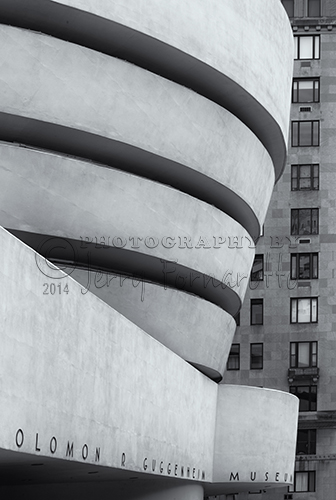 Guggenheim View 1 B+W