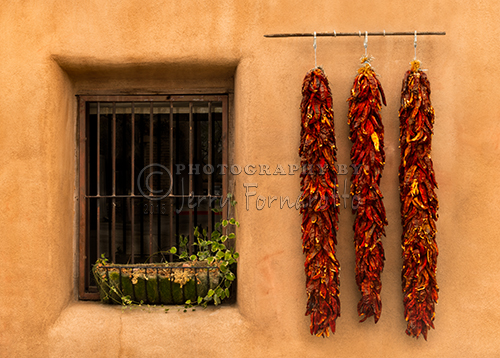 Dried chilis hanging on a wall in Oldtown Albuquerque, New Mexico.