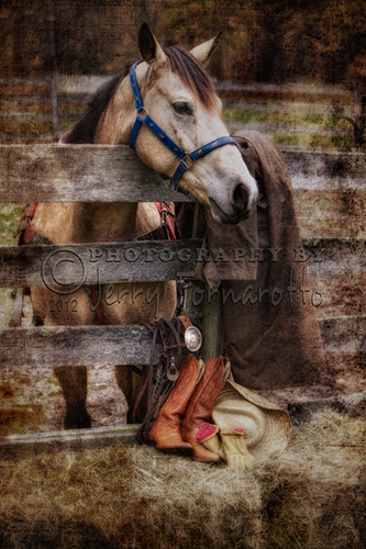 A creative photo of a horse and tack.