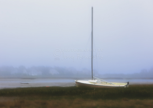 An abandon sailboat in a tidal marsh.