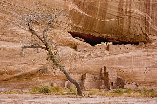 The most popular place to visited in Canyon de Chelly National Monument is White House Ruins.