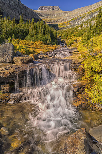 Lunch Creek Falls is one of the many waterfall you incounter along "The Going to the Sun Road", Glacier National Park.