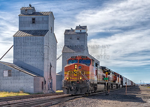 "Train and Grain Elevator"