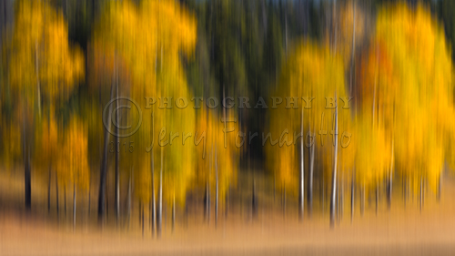 Golden Trees Blur