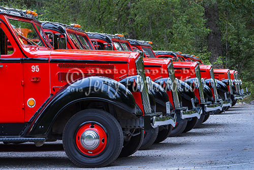 Glacier National Park Red Buses lined up.