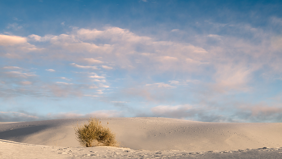 Morning at White Sands National Monument