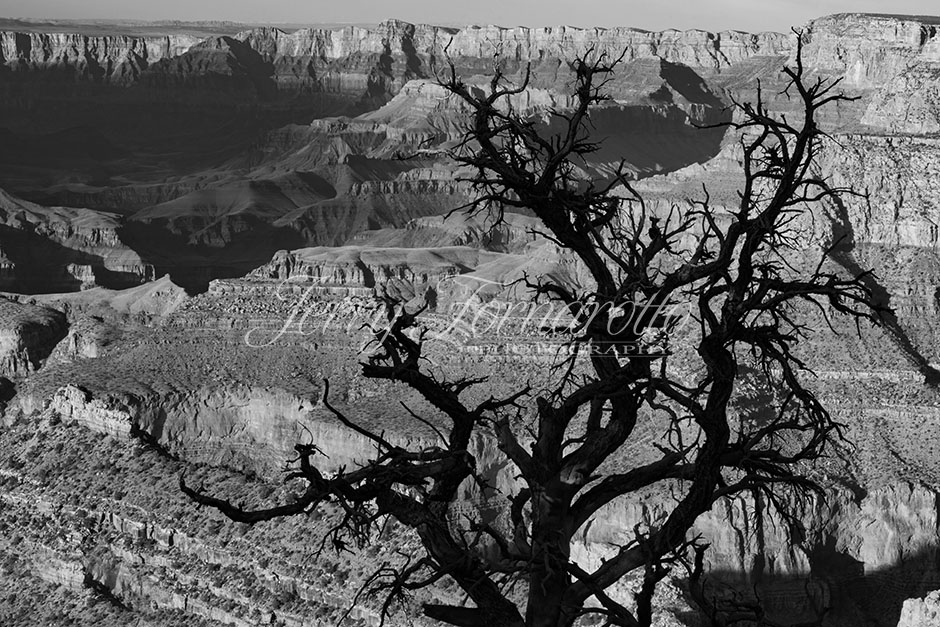 Lipan Overlook Grand Canyon 1 B+W