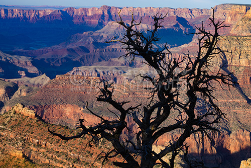 Lipan Overlook Grand Canyon 1