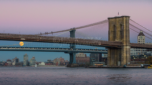 Super moon between the Manhattan and Brooklyn Bridges.