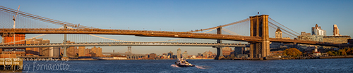 Brooklyn Manhattan Williamsburg Bridges