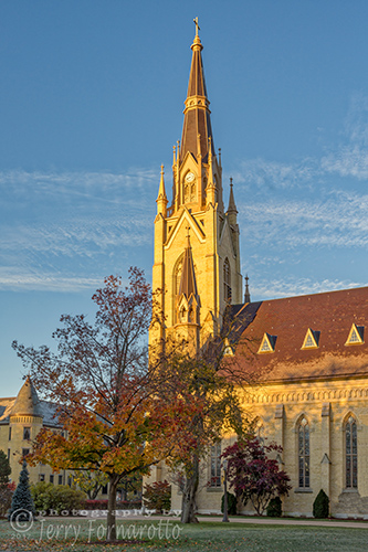 Notre Dame University Basilica of the Sacred Heart