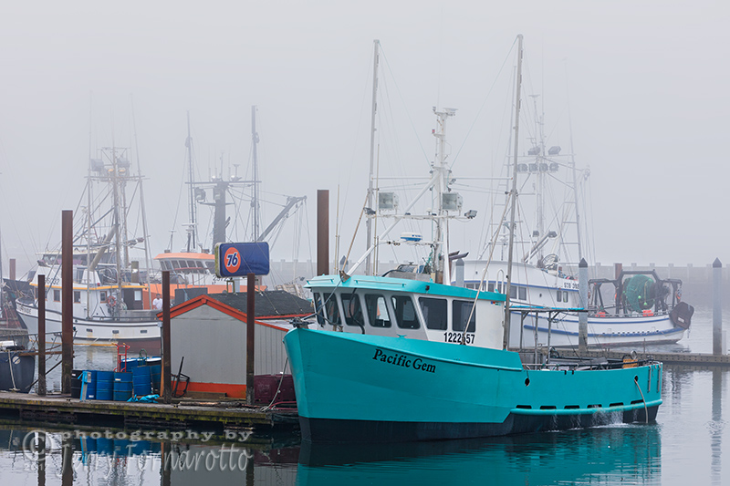Newport, Oregon is the "Dungeness Crab Capital of the World". Newport’s fleet of commercial fishing boats is harbored in Yaquina Bay.