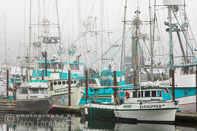 Newport, Oregon Fishing Fleet