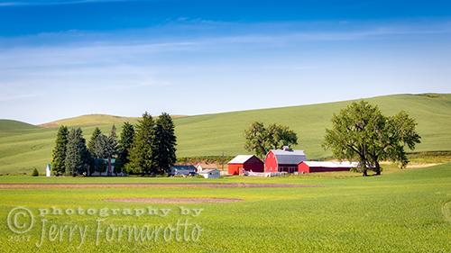 The Palouse is a region, which is located in the southeastern part of the state of Washington. This fertile farmland is a major agricultural area produces wheat and legumes.