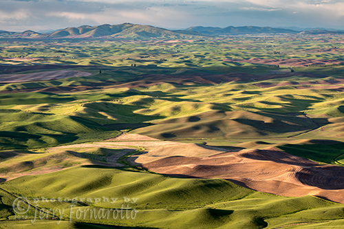 View of the Palouse