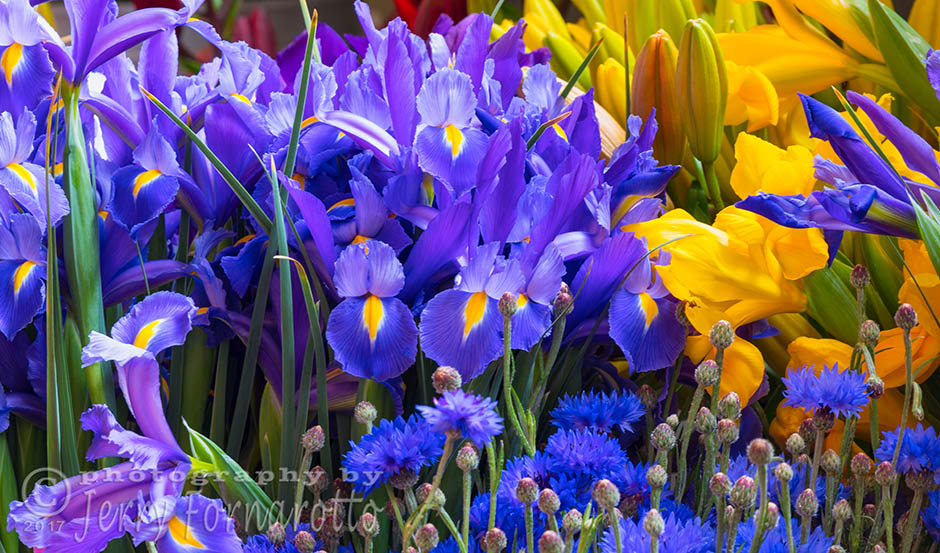 Colorful grouping of flowers seen at Pike Place Market, Seattle, Washington. Canon 5D MKIV, Canon 100-400mm set to 371mm, 2.5sec, f16