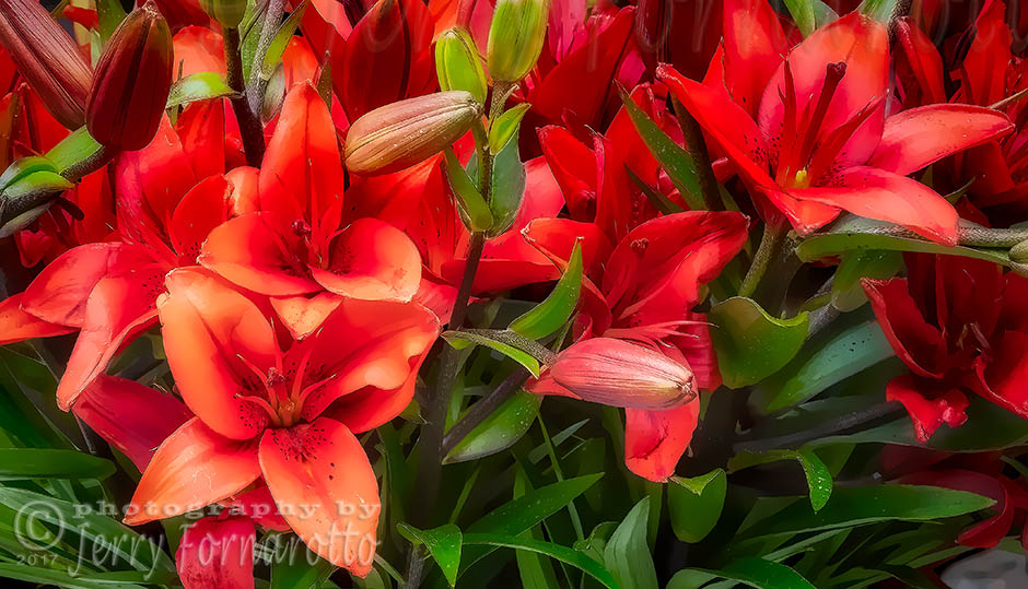 An abstract look of a bouquet of red lilies photographed at the Pike Place Market. Canon 5D MKIV, Canon 24-70mm set to 70mm, 35mm extension tube, 1/3sec, f16