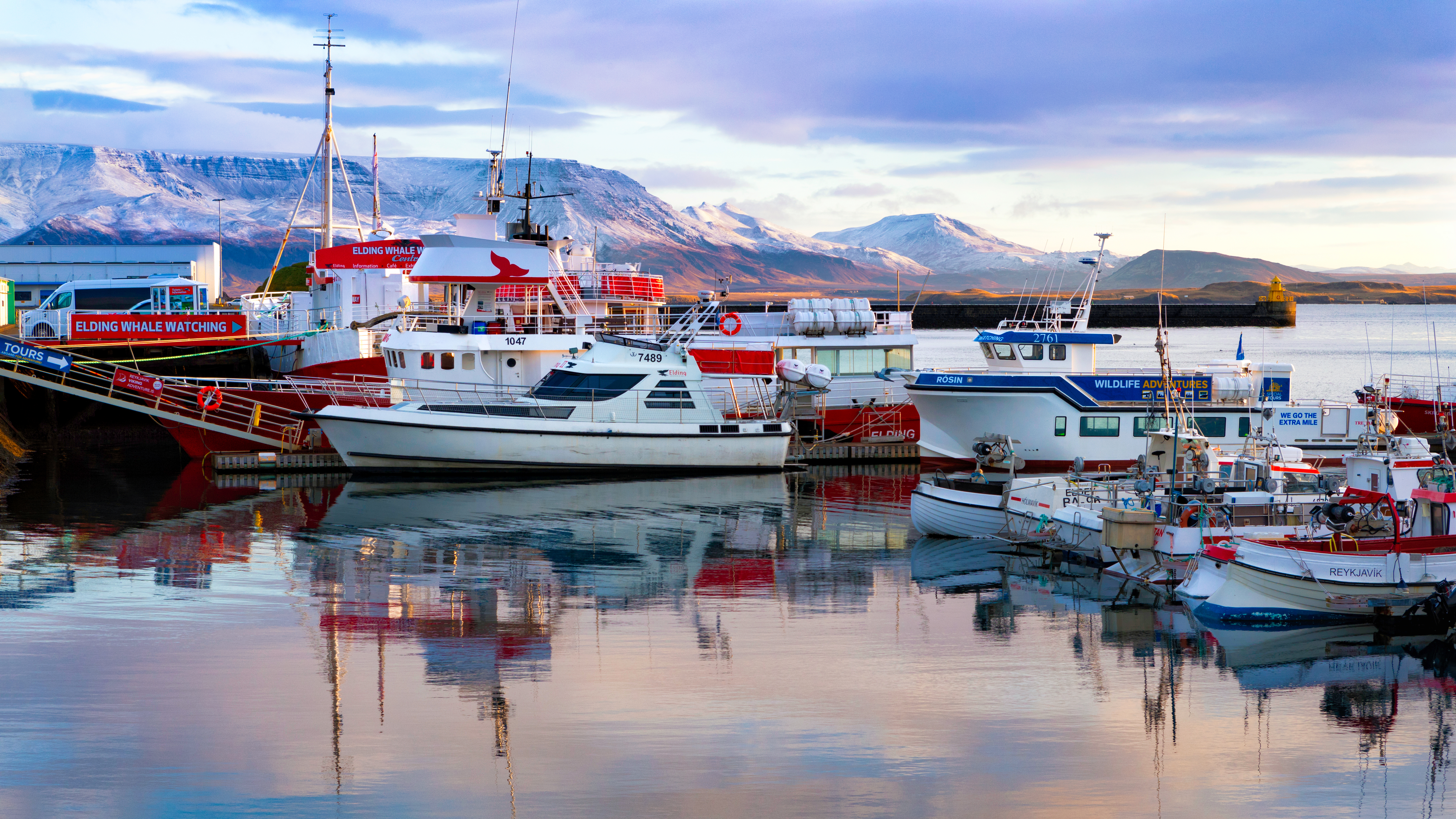 The Old Harbor of Reykjavik was built in 1917. Today it is a hub of fishing boats, whale watching tours and shops.