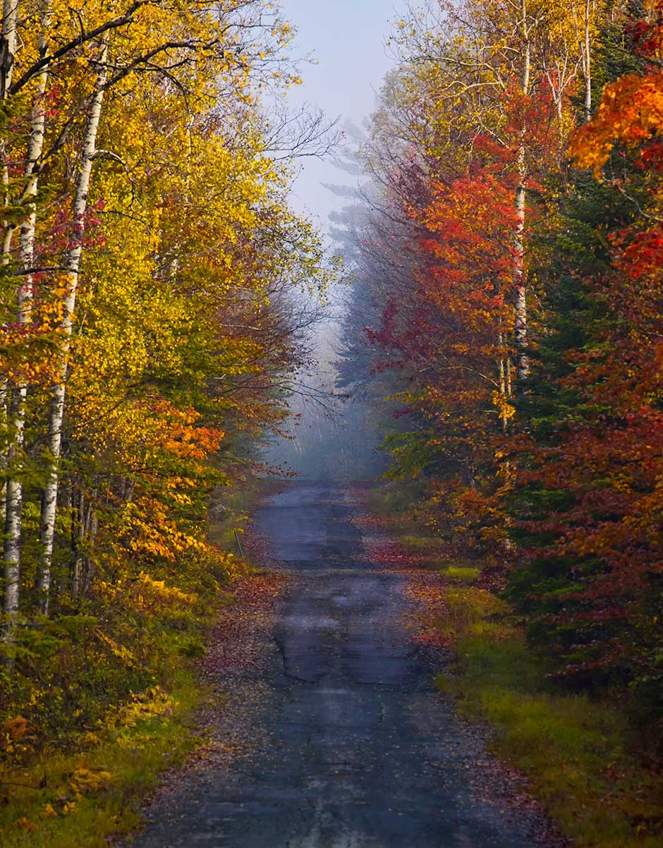 Down a country road in the fall.